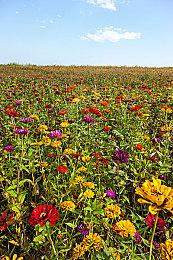 《艾尔登法环》Xbox版游戏容量大约50GB